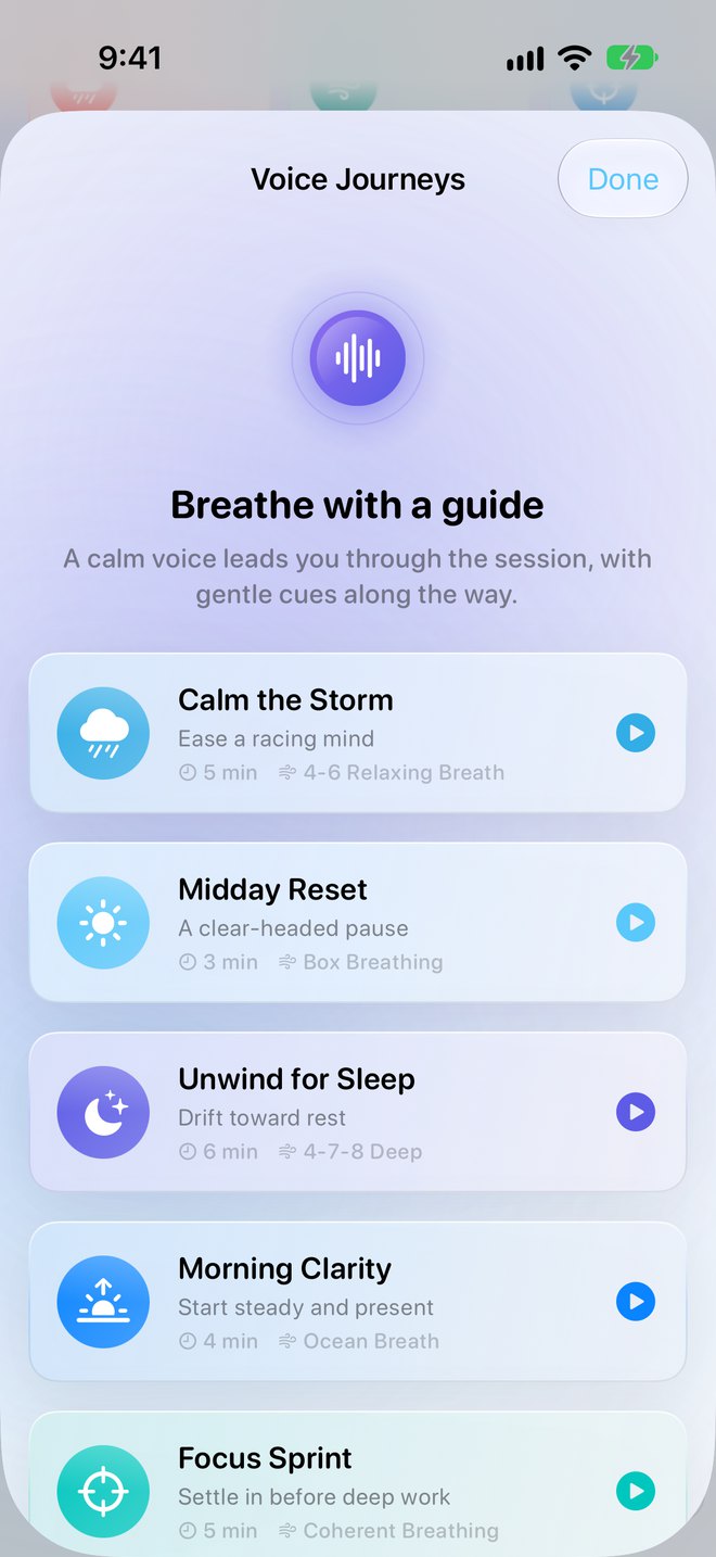Voice Journeys list in Breathe Well showing Calm the Storm, Midday Reset, Unwind for Sleep, Morning Clarity, Focus Sprint, and Letting Go
