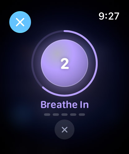 Breathe Well on Apple Watch: a purple breathing circle with the prompt Breathe In, 2 seconds